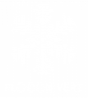 logo-flocon-vert-blanc-78669