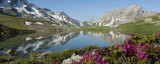 lac-jovet-779502
