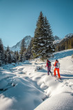 thumbnail-raquettes-photo-gilles-lansard-853930