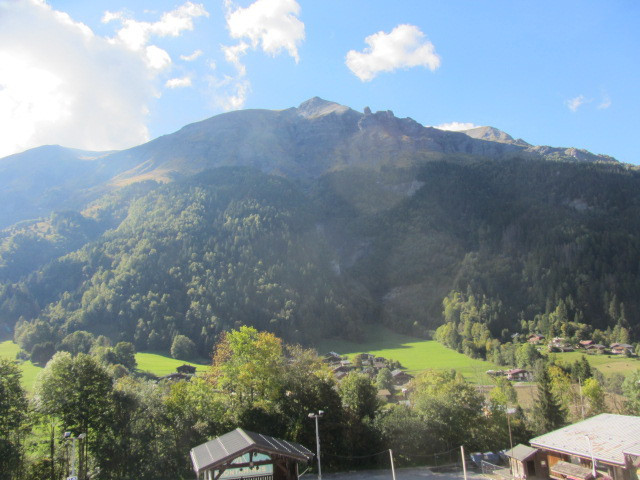 _lv_images__lot_0000004176_10_899026 _lv_images__lot_0000004176_10_899026