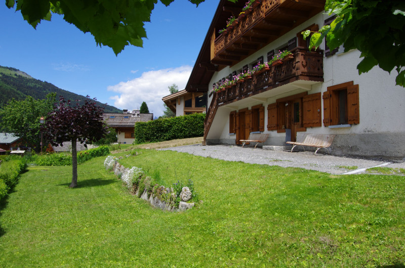 jardin-min-828339